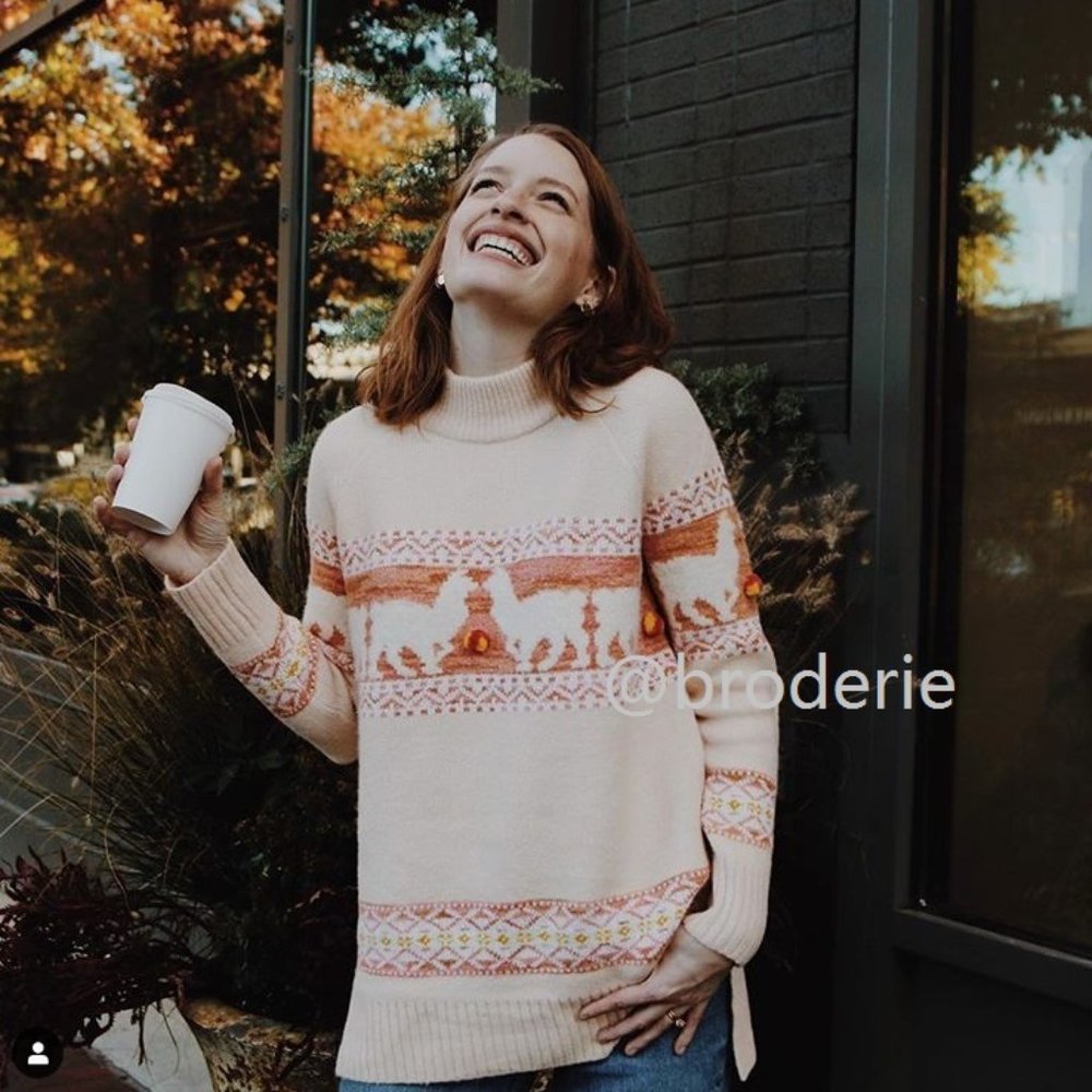 Anthropologie Aimee Pommed Alpaca Sweater - Picture 3 of 14